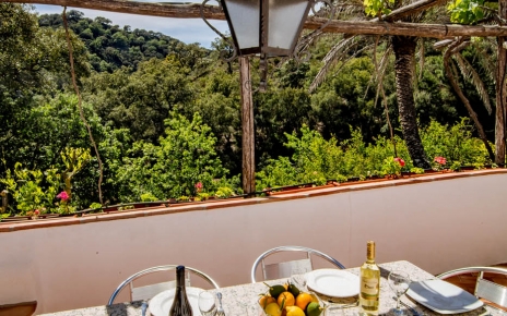 Vine shade at front terrace